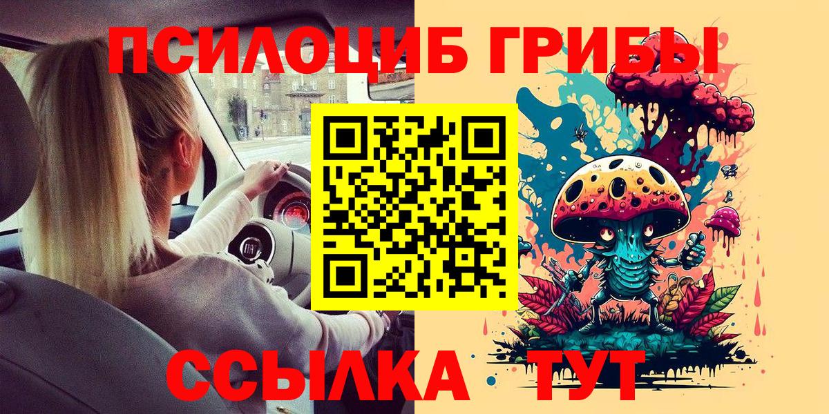 Псилоцибиновые грибы MAGIC MUSHROOMS Зима