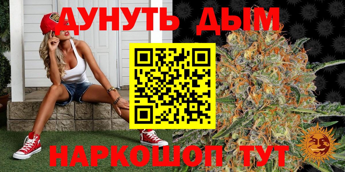 Зима  Марихуана гибрид  Вход с VPN  Бошки марихуана Amnesia 